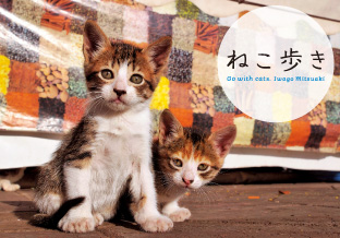 岩合光昭写真展「ねこ歩き」