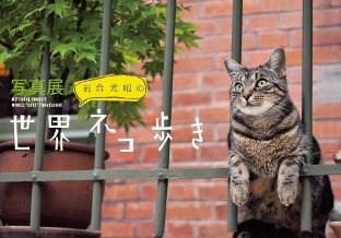岩合光昭写真展「岩合光昭の世界ネコ歩き」