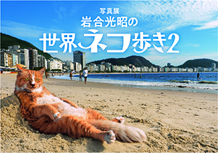 写真展「岩合光昭の世界ネコ歩き2」